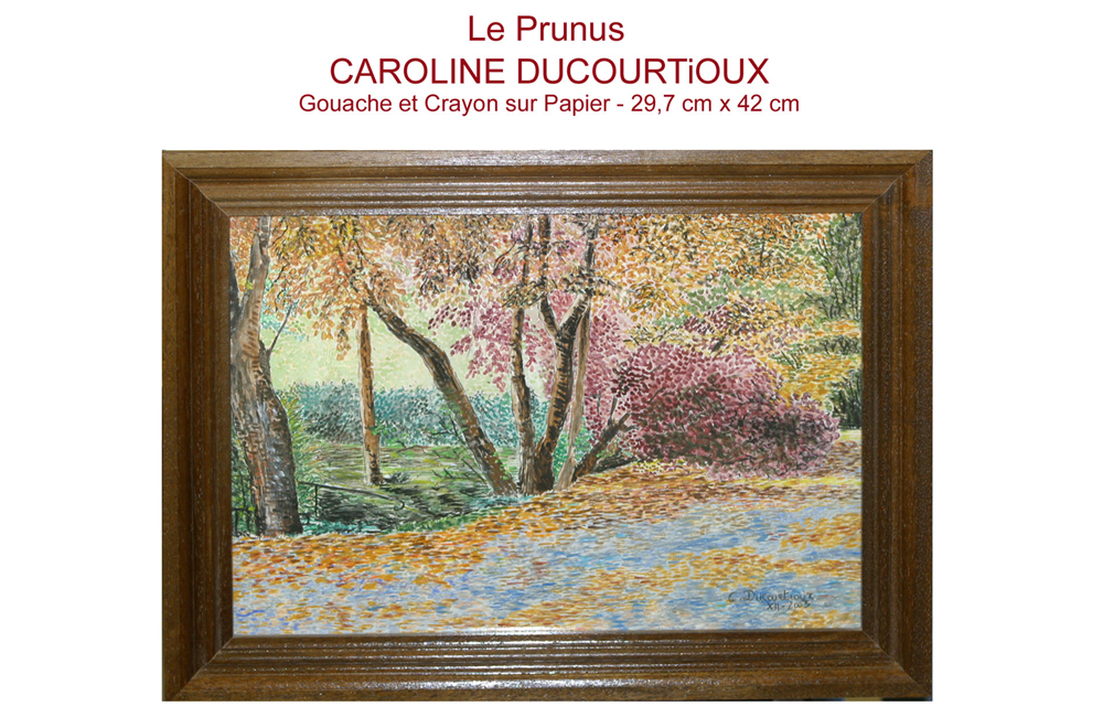 Caroline DUCOURTIOUX